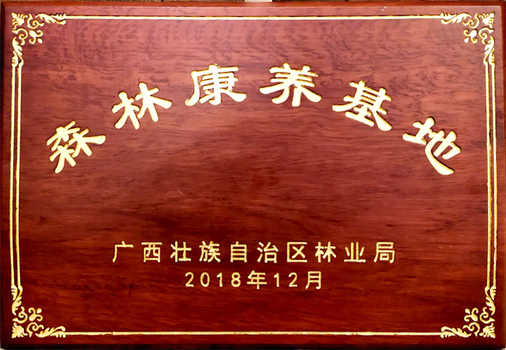 森林康养基地